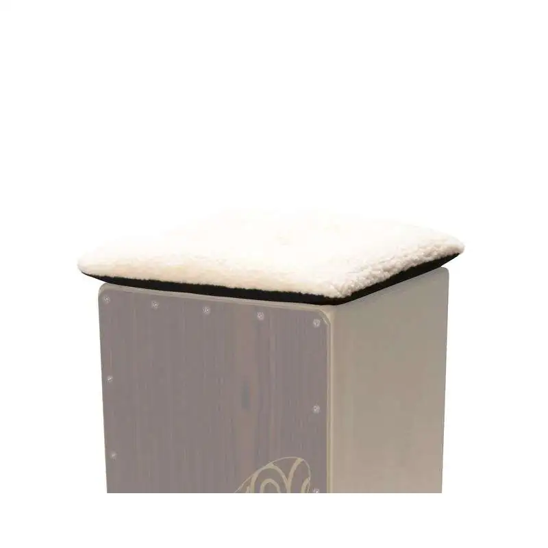 Ahead Armor Cases Cajon Pillow