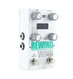 Alexander Pedals Rewind Programmable Echo