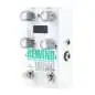 Alexander Pedals Rewind Programmable Echo