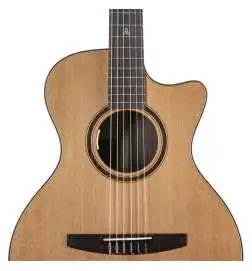 Lakewood A-31 Custom Crossover