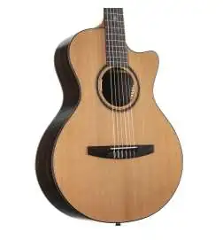 Lakewood A-31 Custom Crossover