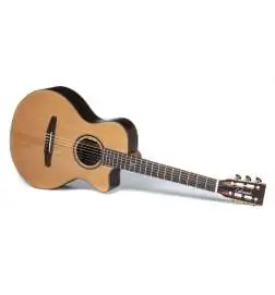 Lakewood A-31 Custom Crossover