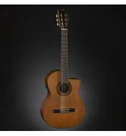 Cordoba C5-CE