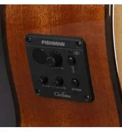 Cordoba C5-CE