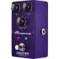 Ampeg Liquifier Analog Chorus