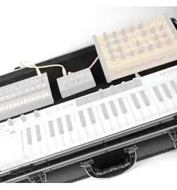 Analog Cases UNISON Case Performance Edition