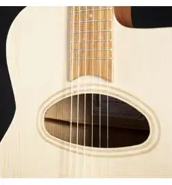 APC JMD 100 Jazz Manouche Guitar