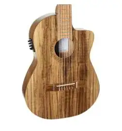 APC CG KOA 3 4 CW