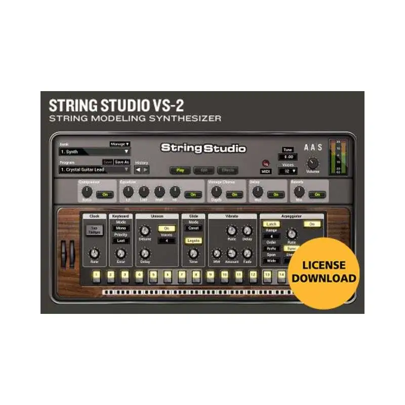 Applied Acoustic Systems AAS String Studio VS-2