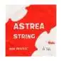 Astrea Einzelsaite Viola 2D