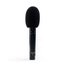 Audix ADX 51 small-membrane-mic Condenser Microphone
