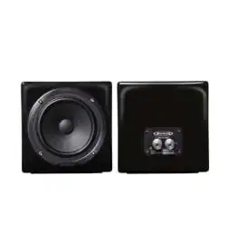 Avantone MixCubes passive black Studiomonitor passiv pair