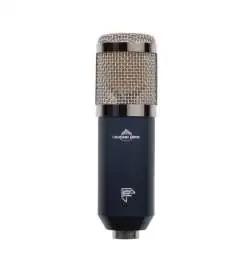 Chandler Limited TG Microphone Type L Microfono a condensatore