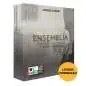 Cinematique Instruments Ensemblia VST codice di licenza