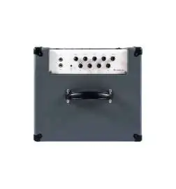 Darkglass Microtubes 500 Combo 112