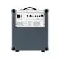 Darkglass Microtubes 500 Combo 112