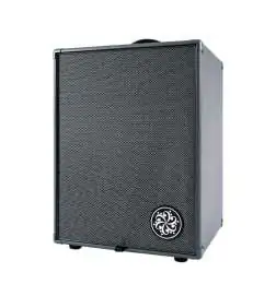 Darkglass Infinity 500 Combo 210