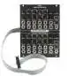 Division 6 Dual Mini Synthesizer Synth Module