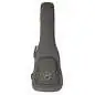 Dingwall NG3 Nolly 5-String 3PU Metallic Black