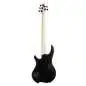 Dingwall John Taylor Signature 5 Black