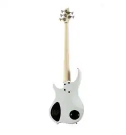 Dingwall NG3 Nolly 5-String 3PU Ducati Pearl White