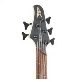 Dingwall D-Roc Standard 5-String Blue to Purple Colour Shift