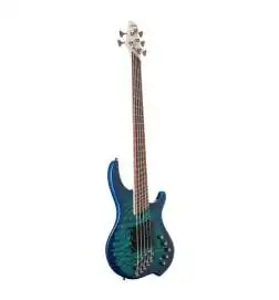 Dingwall Combustion 5 3PU PF Whalepool Burst