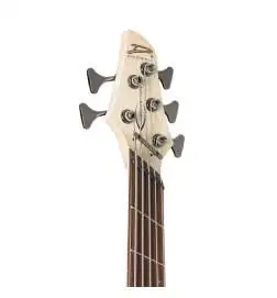 Dingwall Combustion 5 3PU PF Whalepool Burst