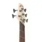 Dingwall Combustion 5 3PU PF Whalepool Burst
