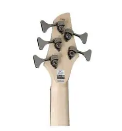 Dingwall Combustion 5 3PU PF Whalepool Burst