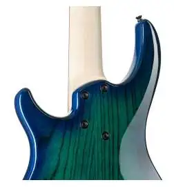 Dingwall Combustion 5 3PU PF Whalepool Burst