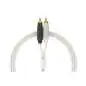DJ TECHTOOLS Chroma Cables Audio MK2 RCA/RCA - White DJ TECHTOOLS Chroma Cables Audio MK2 RCA/RCA - White