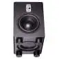 EVE audio TS 110