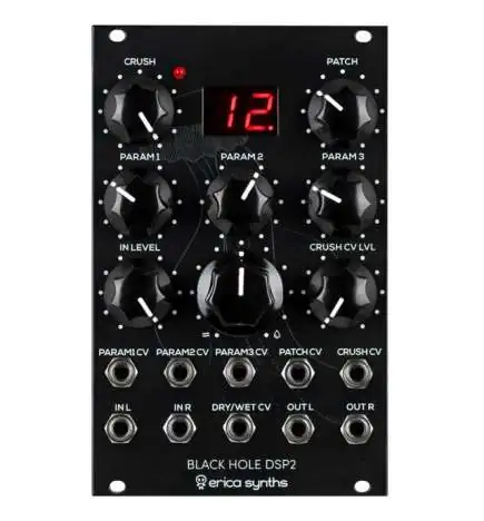 Erica Synths Black Hole DSP2