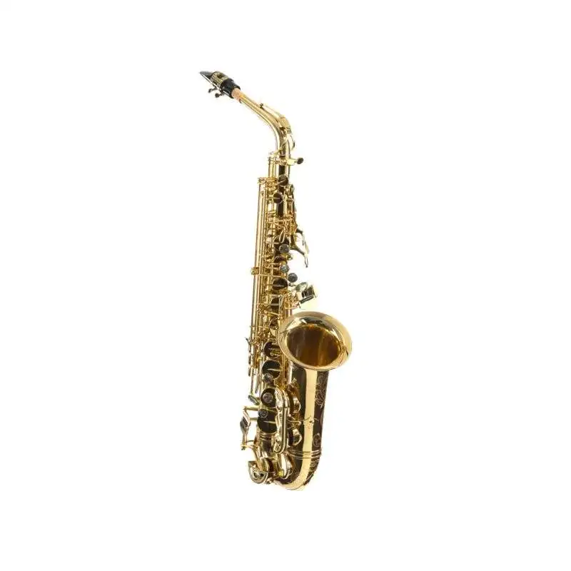 Expression XP-2 Alto Sax lackiert