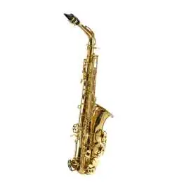 Expression XP-2 Alto Sax lackiert