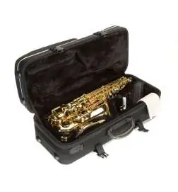 Expression XP-2 Alto Sax lackiert