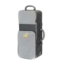 Expression XP-2 Alto Sax lackiert