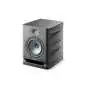 Focal Alpha 65 Evo enceinte de studio actives Focal Alpha 65 Evo enceinte de studio actives