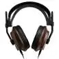 Fostex T60RP mk2