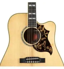 Epiphone Hummingbird Deluxe EC Natural