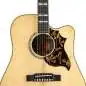Epiphone Hummingbird Deluxe EC Natural Epiphone Hummingbird Deluxe EC Natural