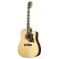 Epiphone Hummingbird Deluxe EC Natural Epiphone Hummingbird Deluxe EC Natural