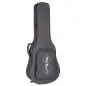 Epiphone Hummingbird Deluxe EC Natural Epiphone Hummingbird Deluxe EC Natural