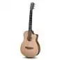 Furch Pioneer-CM a Furch Pioneer-CM a