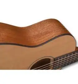 Furch Pioneer-CM a