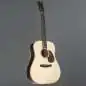Furch Vintage 1D-SR Furch Vintage 1D-SR