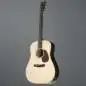 Furch Vintage 1D-SR Furch Vintage 1D-SR