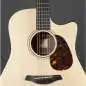 Furch Blue DC-SW