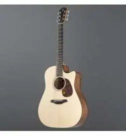 Furch Blue DC-SW